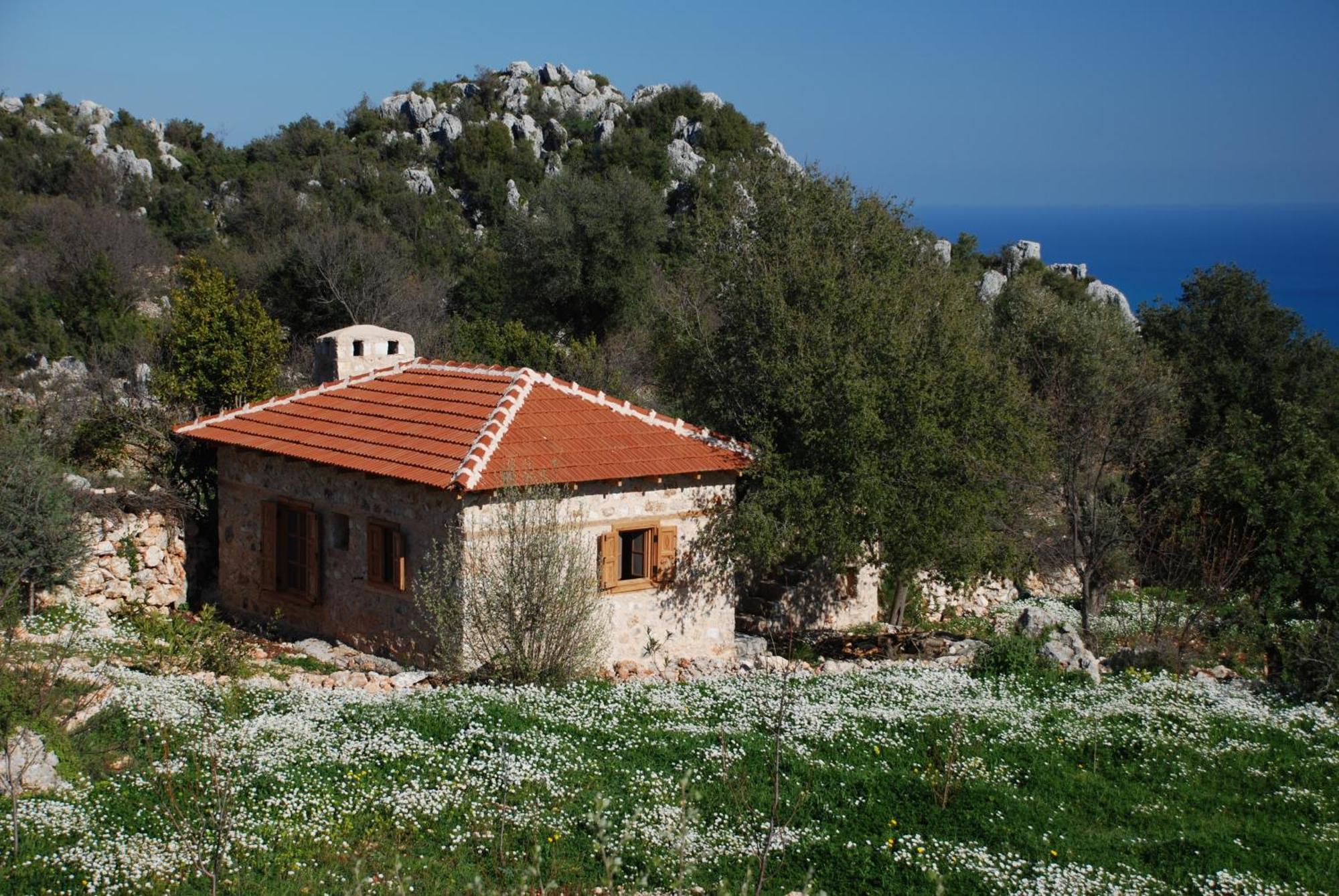 Hoyran Wedre Country Houses Davazlar ภายนอก รูปภาพ